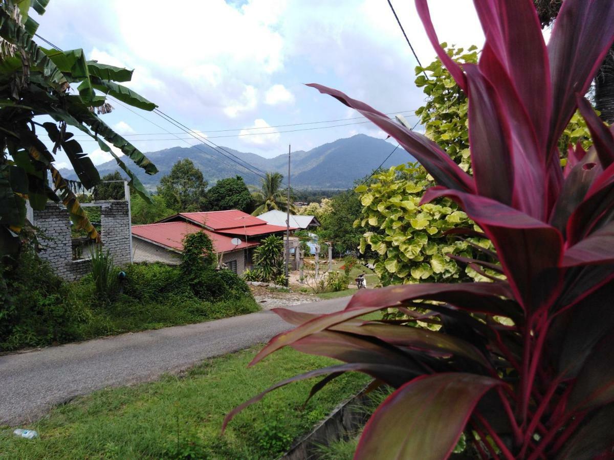 Homestay Haji Hamid Pantai Cenang  Eksteriør bilde